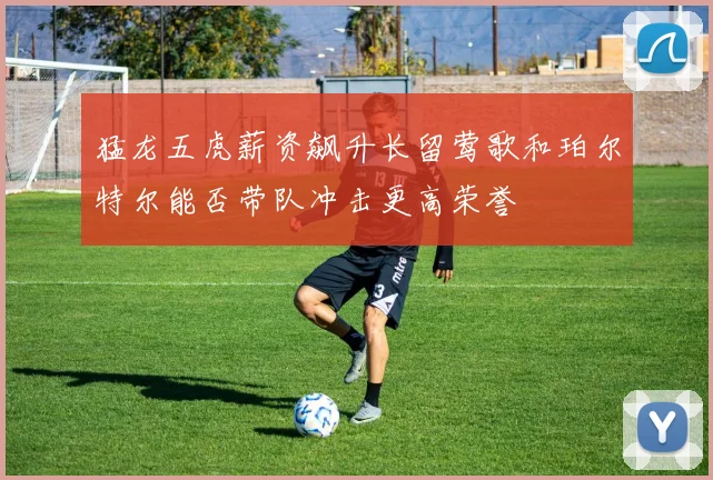 猛龙五虎薪资飙升长留莺歌和珀尔特尔能否带队冲击更高荣誉