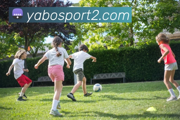 多媒体互动体验